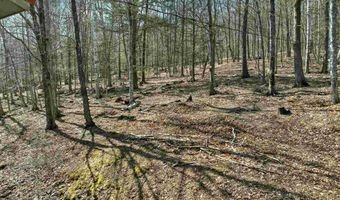 878 Rattlesnake Is, Alton, NH 03810