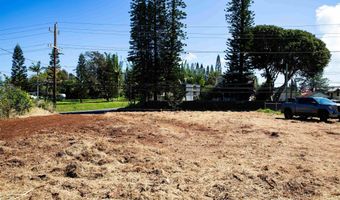 2716 Kokomo Rd, Haiku, HI 96708