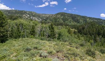 LOT 23 SUTER'S CANYON, Bedford, WY 83112