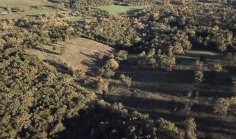 7776 State Hwy 39, Aurora, MO 65605