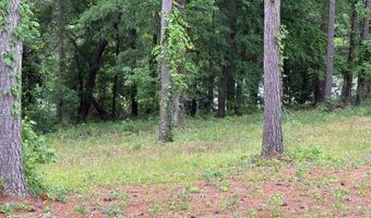 0 Powell Trce, Abbeville, AL 36310