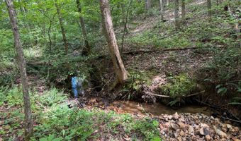 0 Holiday Lake Rd, Appomattox, VA 24522