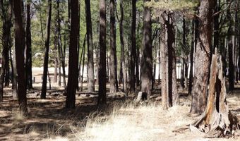 8 B County Road 2267 Escudilla Rd, Alpine, AZ 85920