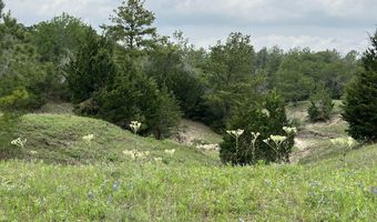 R13945 A0049 J Peterson tract 11 Acres 50.715, Anderson, TX 77830