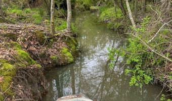 377 Acres Brent, Barnesville, GA 30204