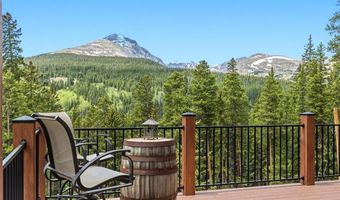 1043 Range Rd, Breckenridge, CO 80424