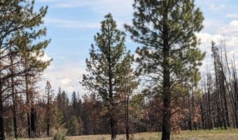0 Bull Pine Rd, Bly, OR 97622