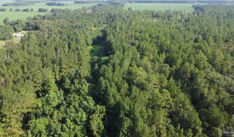 0 Lowery Rd Lot #11, Atmore, AL 36502