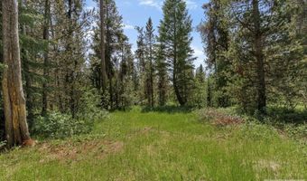 1597 Annies Lndg, Ashton, ID 83420
