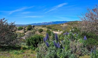 1282 Olive Ave, Fallbrook, CA 92028