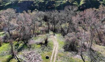 13761 Asotin Creek Rd, Asotin, WA 99402