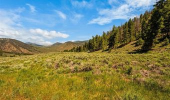 1220 Wilder Mountain Rd, Almont, CO 81210