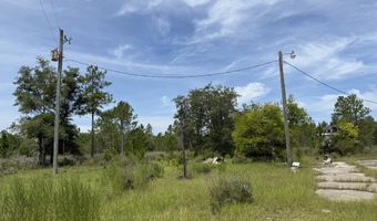 19660 NW Alice Vreeland Rd, Altha, FL 32421