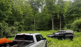 40 Acres The Grade Rd, Amasa, MI 49920