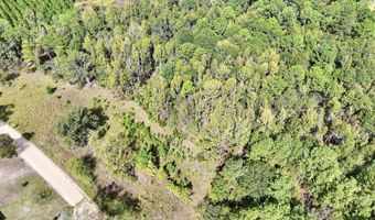 Eugene Ward Road, Adrian, GA 31002