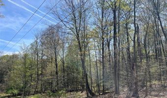 106 Road, Alma, NY 14708