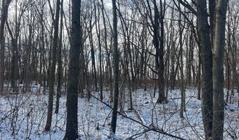 Lot 2 105th Street, Amery, WI 54001