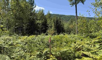 F2 Cave Mountain Road, Bartlett, NH 03812