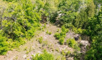TBD Hwy 129, Bell, FL 32619