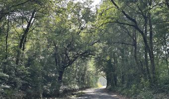 80 AC Old River Rd, Baker, FL 32531