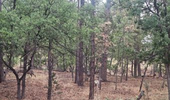 74 Lot Silvertip Trl 5, Alto, NM 88312