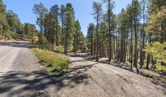 138 Green Ridge Dr, Bayfield, CO 81122