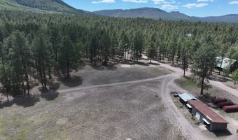 58 County Road N2122, Alpine, AZ 85920