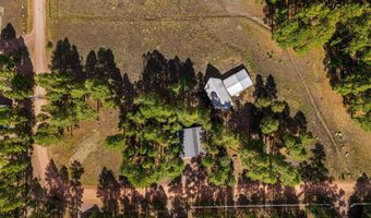 22 CR 2082, Alpine, AZ 85920