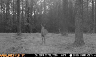 U.S. Highway 51, Bogue Chitto, MS 39629