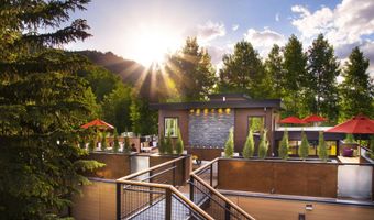 610 S West End St D203, Aspen, CO 81611