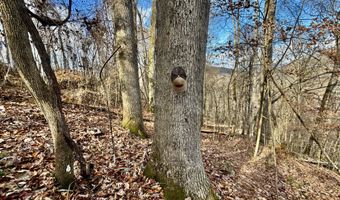 1520 Brittontown Rd, Afton, TN 37616