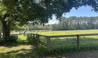 10886 Burtons Ferry Hwy, Allendale, SC 29810