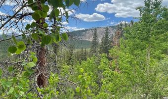 847 COUNTY ROAD 787, Alma, CO 80420