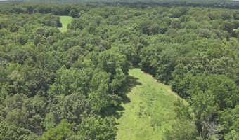 Hwy 1591, Bardwell, KY 42023