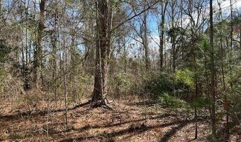 580 W Main St, Abbeville, GA 31001