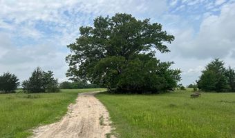 R13945 A0049 J Peterson Tract 11 Acres, Anderson, TX 77830
