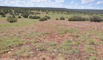 19 N8483, Concho, AZ 85924