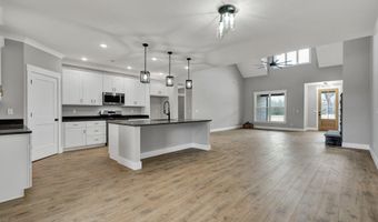 256 Watauga Ln, Birchwood, TN 37308