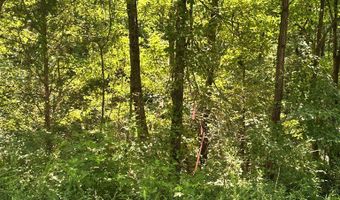 George Green Rd, Tallapoosa, GA 30176