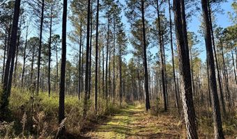Highway 28, Abbeville, SC 29620