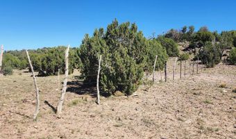 85 N 8522, Concho, AZ 85924