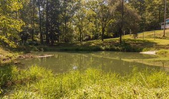 997 Miller Hollow Rd, Bean Station, TN 37708