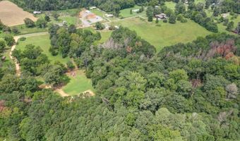 4 72 Acres Rabbittown Rd, Albertville, AL 35950
