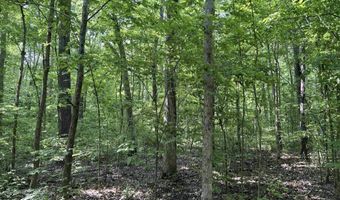 0 Point Mason Rd, Big Sandy, TN 38221