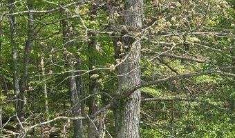 Sam Smith Rd, Allardt, TN 38504