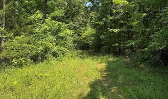 Cr 244, Abbeville, MS 38601