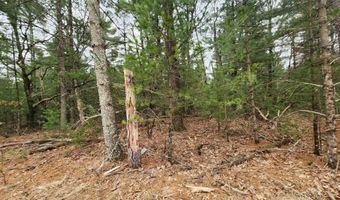 Dyke Avenue lot 8, Adams, WI 53910