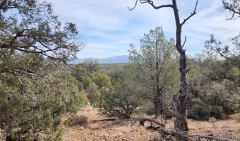 S2 Lot 92 Off Indian Springs, Ash Fork, AZ 86320