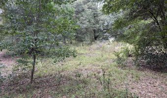 3427-3319 GOLDEN GEM Rd, Apopka, FL 32712