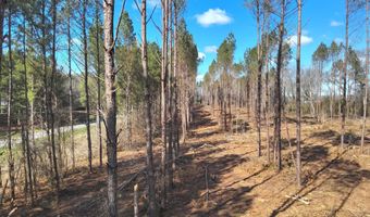 Smith County Road 99, Bay Springs, MS 39422